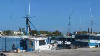 Búsqueda de los cuatro  pescadores desaparecidos en Chicxulub continúa; SSP y ciudadanos forman parte del operativo