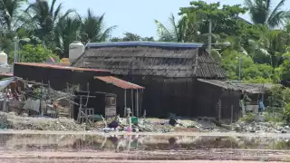 Asentamientos irregulares en la ciénega de Chicxulub desata fraudes y compra ilegal de terrenos 