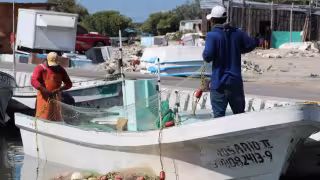 Canainpesca Yucatán y FGE refuerzan estrategias contra la pesca ilegal y la inseguridad