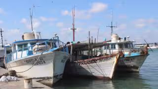Pesca en Yucatán se paralizará por dos meses ante el inicio de la veda de mero