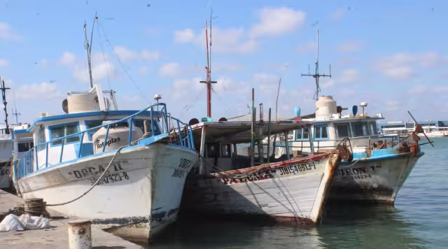 Durante este tiempo se prevé que inicien los trabajos de reparación y mantenimiento correspondientes.