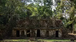 X’baatún, la ciudad maya oculta que comienza a contar su historia en Yucatán