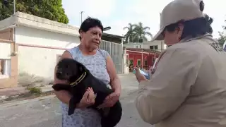 Hoy, 27 de enero, habrá vacunación antirrábica gratuita en Campeche