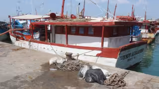 Con el reinicio de la pesca del mero, los comercios registran ingresos por los avituallamientos