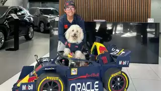 Murió Fabbio, el perrito que era fan de Sergio ‘Checo’ Pérez