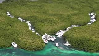 Decenas de embarcaciones fueron protegidas entre los manglares de Cancún