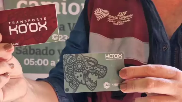 Transporte Ko’ox: sigue entrega de tarjetas para personas con discapacidad