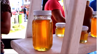 Alerta en zona maya: miel falsificada amenaza a apicultores en Quintana Roo