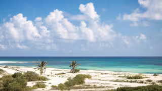 Alerta por Mahahual llega a Cozumel: Piden frenar proyecto “Royal Beach Club”