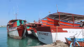 Iniciará la recepción de documentos del programa “Apoyo de Motores para el Bienestar del Pescador” en Yucatán: fechas y requisitos
