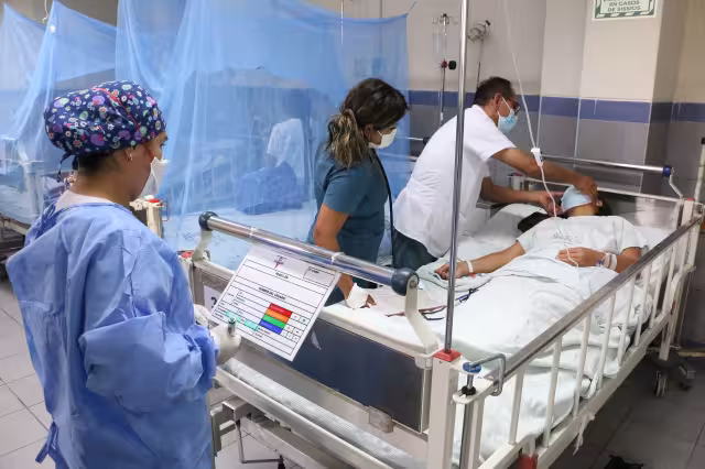 OPS advierte sobre síntomas y riesgos del dengue