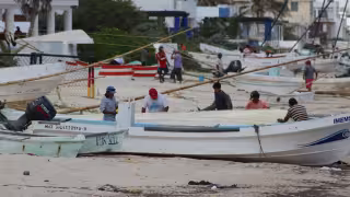 Inicia la captura de pulpo en las costas de Progreso