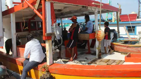 Hombres de mar afinan detalles para zarpar después de una primera ronda exitosa de captura de pulpo Hombres de mar afinan detalles para zarpar después de una primera ronda exitosa de captura de pulpo