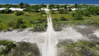 Profepa clausura la  construcción de un camino en la duna costera de Dzilam de Bravo