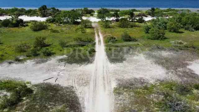 El camino en la duna costera de Dzilam de Bravo no contaba con permisos