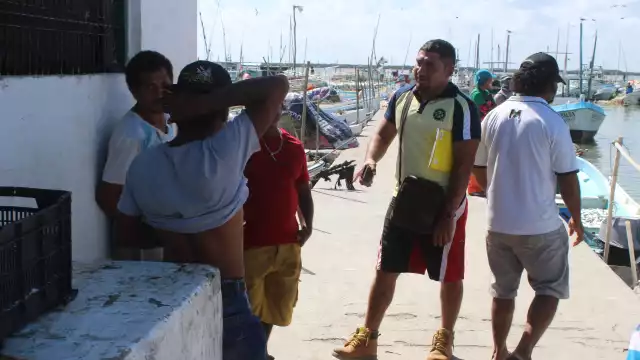 Varias veces han arremetido contra embarcaciones que se acercan a sitios donde ellos están.