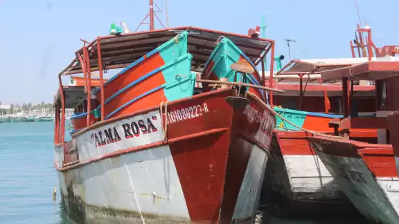 Pescadores esperan una temporada favorable, pese al impacto de la captura ilegal en semanas pasadas Pescadores esperan una temporada favorable, pese al impacto de la captura ilegal en semanas pasadas