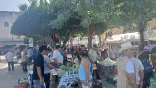 Sembrando Vida impulsa a más de 40 comunidades con gran tianguis campesino en Escárcega
