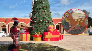 Vandalismo navideño en Champotón: destruyen decoraciones hechas de unicel en la plaza principal