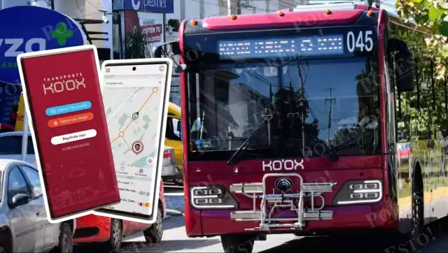 ARTEC lanza app Ko’ox Contigo para usuarios del transporte público