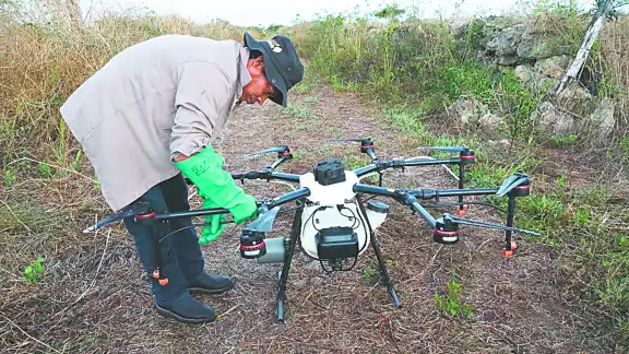 Zonas con huevecillos de langosta fueron rociadas con agente biológico para evitar plagas futuras Zonas con huevecillos de langosta fueron rociadas con agente biológico para evitar plagas futuras