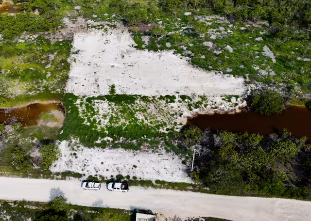 Impone Profepa clausura a 3 predios por cambio ilegal de uso de suelo en la Reserva de la Biosfera Ría Celestún, en Yucatán