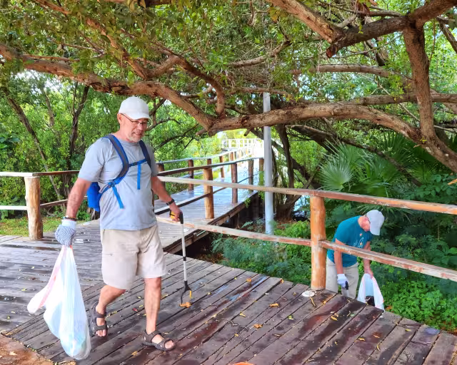 Explicaron que los desechos se fragmentan en pequeñas partículas que consumen las especies marinas y luego terminan en los platillos de la gente