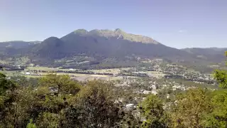 Las ocho personas se encontraban en buen estado de salud