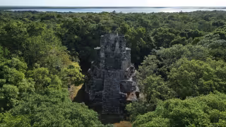 Gracias al Programa de Mejoramiento de Zonas Arqueológicas (Promeza) reabrió Muyil.
