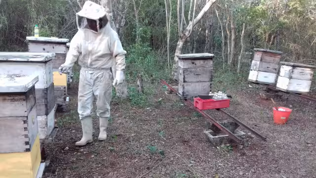 Este incremento sitúa a la comunidad como una de las mejores plazas de compra-venta.