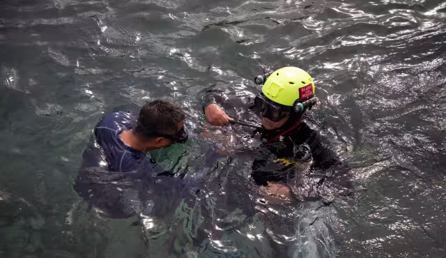 El Subdirector de Ecología dio a conocer que se forman por salidas de agua dulce desde cuevas en el mar