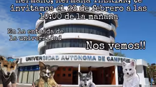 Convocan a encuentro therian en la Universidad Autónoma de Campeche; piden respeto y aceptación