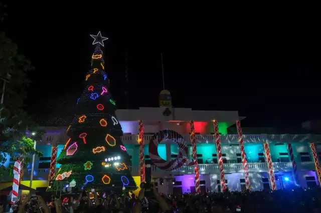 Cientos de familias se reunieron para apreciar los adornos navideños