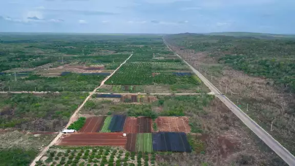 Vive el campo yucateco un semestre desafiante