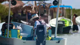 Suspenden recorridos turísticos en Chuburná tras la presencia de algas nocivas en la costa