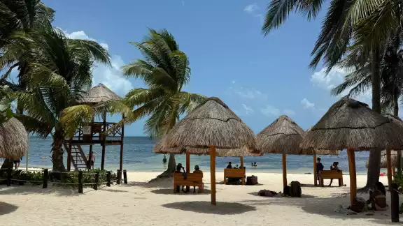 Mientras el sargazo afecta a varias playas de Quintana Roo, Playa Las Perlas en Cancún se mantiene limpia y apta para los visitantes. Mientras el sargazo afecta a varias playas de Quintana Roo, Playa Las Perlas en Cancún se mantiene limpia y apta para los visitantes.