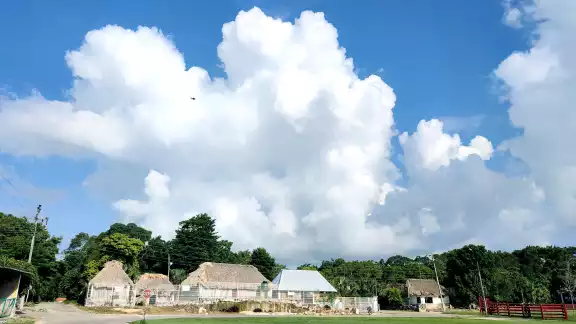 Los proyectos de infraestructura comunitaria del Gobierno federal se llevarán a cabo en Chumpón, Chancah Veracruz, Tixcacal Guardia y Kantunilkín. Los proyectos de infraestructura comunitaria del Gobierno federal se llevarán a cabo en Chumpón, Chancah Veracruz, Tixcacal Guardia y Kantunilkín.