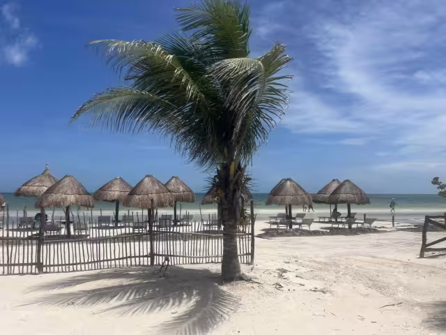 El escaso recale de sargazo en la isla no ha afectado las playas, por lo que podrán ser disfrutadas por los visitantes