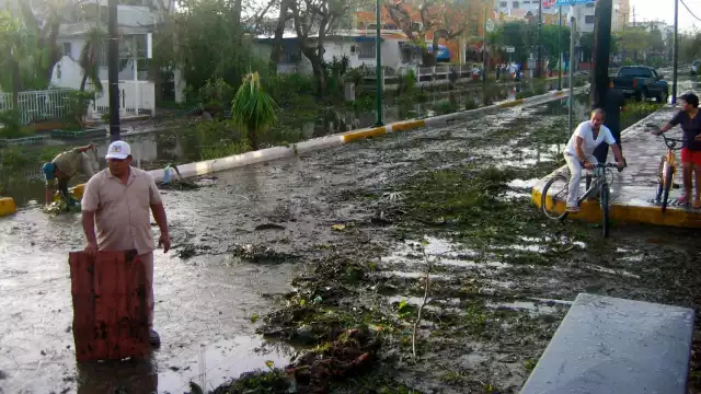 El fin de la contratación de dicho seguro es proteger la infraestructura pública, los arrecifes y las playas de la entidad