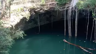 Hallan un cocodrilo dentro de un cenote en Yucatán