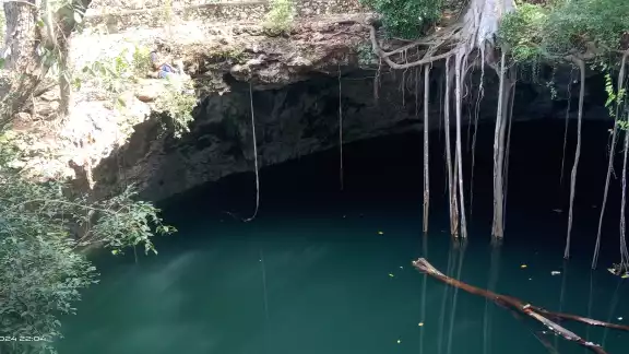 El cocodrilo lleva seis meses viviendo dentro del cenote El cocodrilo lleva seis meses viviendo dentro del cenote