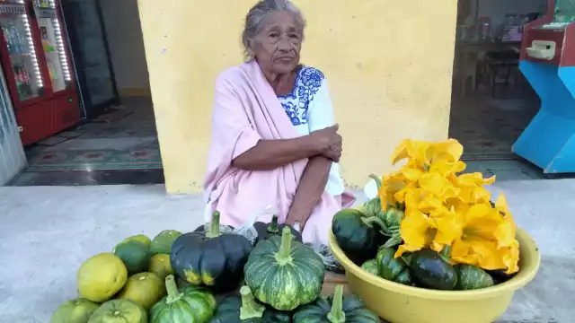 La flor de calabaza es un alimento que actualmente tiene poca demanda a pesar de sus propiedades