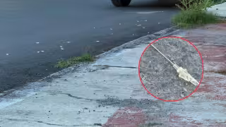 Más de 80 agujas aparecen tiradas en calles de Champotón; vecinos temen contagios