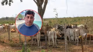 Sin apoyos y sin agua: ganaderos de Hopelchén enfrentan crisis por sequía