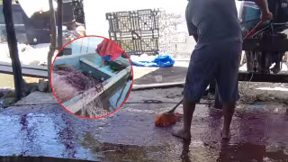 Pemex deja sin respuesta a pescadores de Campeche por derrames en el Golfo; analizan ir a CDMX