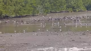 Frente Frío 32 provoca bajas temperaturas, lluvias y retiro del mar en Campeche