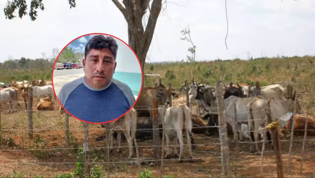 Ganaderos de Hopelchén gastan hasta 500 pesos en fletes de agua por falta de pozos