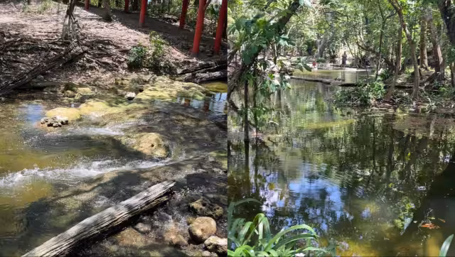 La obra contará con autorización ambiental condicionada emitida por Semarnat.