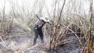 Trabajadores aseguran que las jornadas bajo el sol son largas; por eso, prefieren buscar otras oportunidades laborales