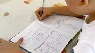 Autoridades no han impulsado programas para mejorar el aprendizaje, dice asociación